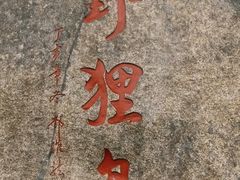-野狸岛