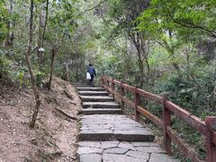 -武夷山风景名胜区-虎啸岩