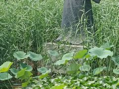 -郭守敬纪念馆