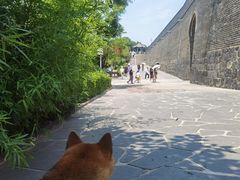 -蓬莱阁景区