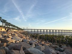 -宝安西湾红树林湿地公园