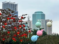 -万绿园