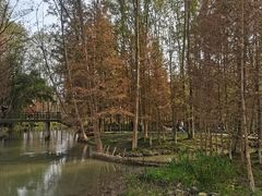 -桤木河湿地公园