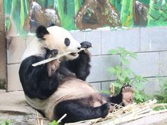 -南昌动物园