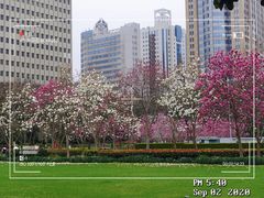 -人民广场
