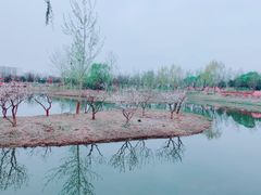 -东郊湿地公园