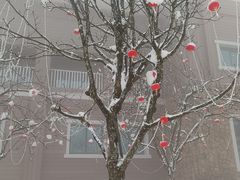 -西岭雪山大飞水景区