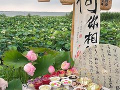 -七的湖·晚芳亭·阳澄湖农家菜·大闸蟹(莲花岛店)
