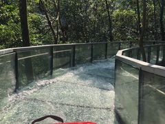 -龙湾潭国家森林公园