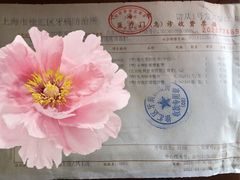 -上海市徐汇区口腔医院