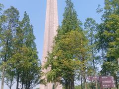 -合肥滨湖国家森林公园