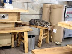 -川渔郎·鱼蛙自助火锅(文殊院店)