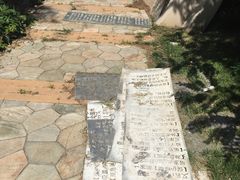 -武清南湖绿博园