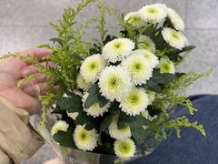 -茶理宜世(东方宝泰店)