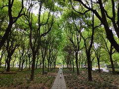 -东怡大酒店(上海科技馆店)