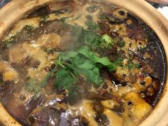 -江湖黑大兔(杨家坪店)
