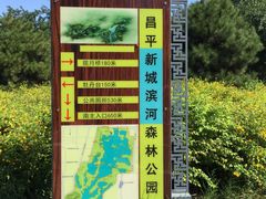 景点-白浮泉公园