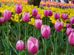 -长春公园(普阳街道)