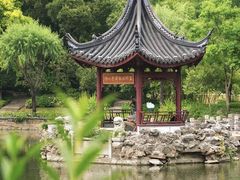 -和平公园