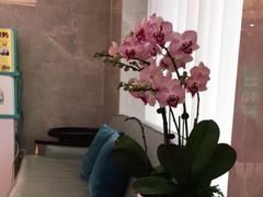 -团圆口腔·种植中心(锦江院区)