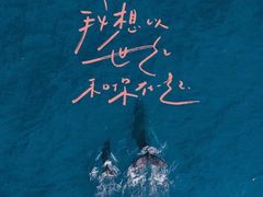 -李大牛和刘大力手作甜品(凯德店)
