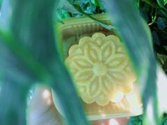 -威利旺卡烘焙西点蛋糕培训(朝阳校区)