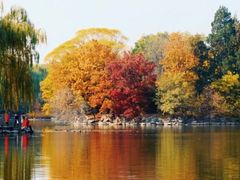 -北京大学百年讲堂