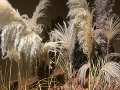 -ohbar live house(人广店)