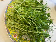 豆苗-清真·马家火锅美食城(镇江北路店)