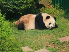 -大连森林动物园