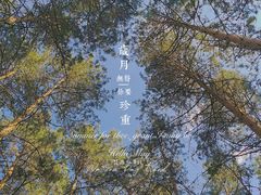 -欧亚之窗公园
