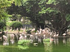 -九龙公园