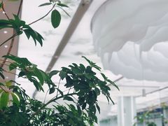 -大树餐厅(万达创始店)
