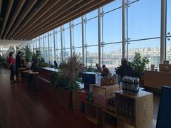 -Seesaw Coffee(朝阳大悦城店)