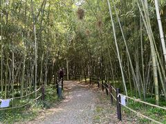 -新虹桥中心花园