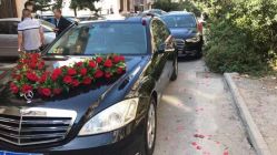 -蚂蚁婚车