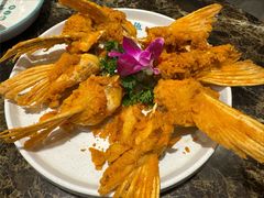 -鱼粤鲜淘米捞·中山脆肉鲩火锅(悦湖会店)