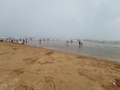 -日照海滨国家森林公园