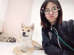 -浣熊柯尔鸭土拨鼠·电玩咖