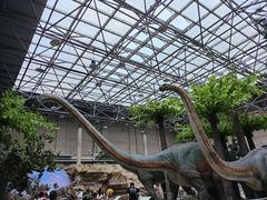 -国家自然博物馆