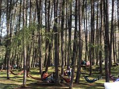 -硗碛藏寨·神木垒景区