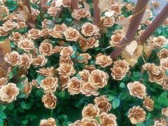 -重庆市江北嘴中央商务区中央公园