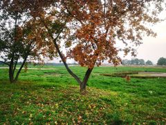 -汉长安城未央宫国家考古遗址公园