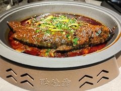 -黔渔翁豆花渎鱼(喷水池店)