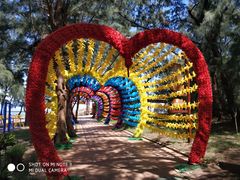 -北海金海湾红树林生态旅游区