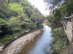 -石台牯牛降景区