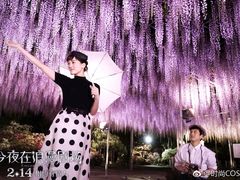 -UME影城(安贞DTS:X店)