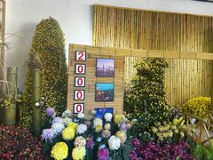 -杭州植物园