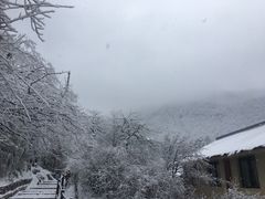 -峨眉山风景名胜区