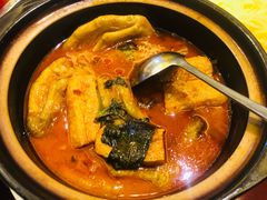 螺蛳鸭脚煲（桂菜）-屋顶花园餐厅(步行街老地王大厦店)